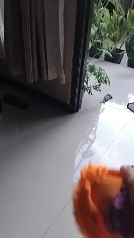 lap cendol 5 ribu aja!! #lapcendol #cumakontentdoangkok 