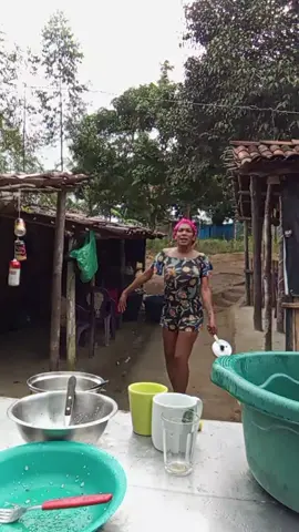 lavando os pratos 