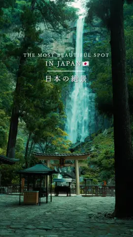 The most beautiful spot in Japan🇯🇵 📍Saga -佐賀- 📍Kyoto -京都- 📍Niigata -新潟- 📍Wakayama -和歌山- Beautiful places in Japan 🇯🇵  #japan #japantravel #japantrip #anime #animejapan              