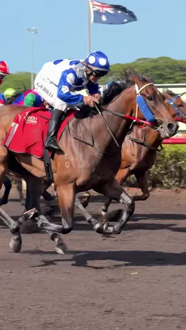 “Devils Delight” and Adam Nicholls #racehorse #thoroughbred #horseracingedit #horsesontiktok #foryoupage 