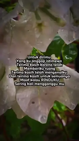 hii...😘 untukmu yang ku anggap ISTIMEWA....☺️ terimakasih telah mengenalku dan terimakasih  untuk semuanya.. maaf jika rinduku sering mengganggumu... #galaubrutal #kangenkamu 