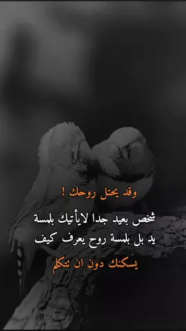 #عبارات_حزينه💔 #فراق_الحبايب💔 #😔💔🥀 #تصميم_فيديوهات🎶🎤🎬 #عباراتكم_الفخمه📿📌 @مؤمن موسي مؤمن موسي 