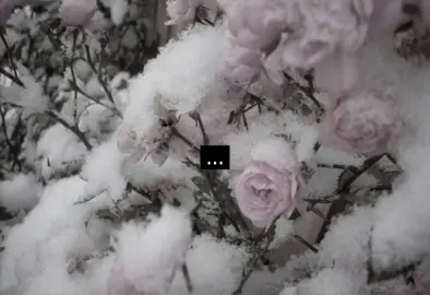 luxurious #song #fyp 