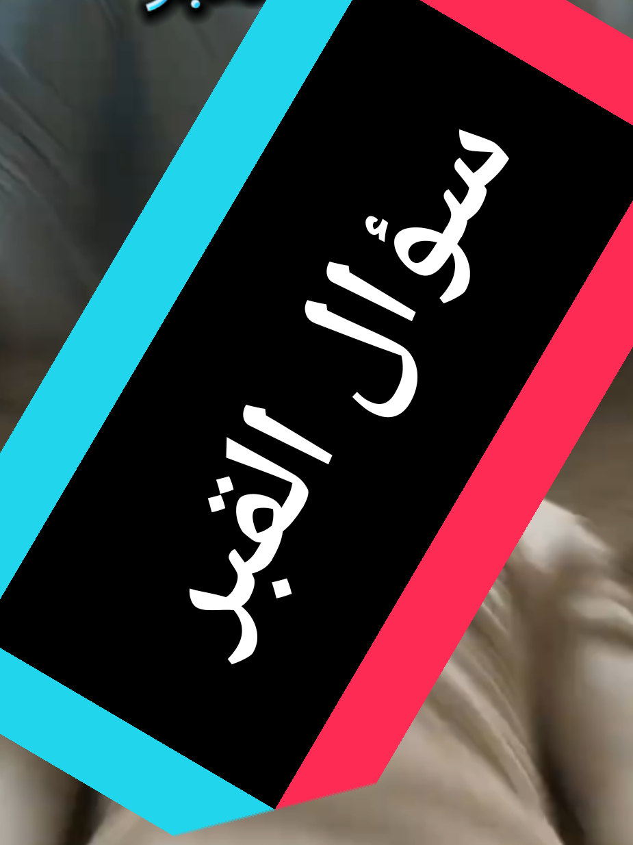 #وصف_الجنة #الاسراءوالمعراج #وصف #foryo #الملائكة_تتابع_اهل_القران @Farid élevage Brahmaفريد 