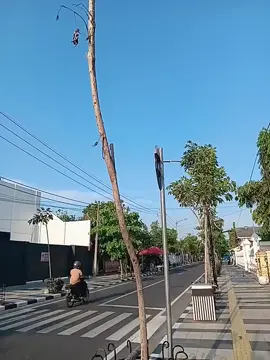 timbang mbegal ati oleh loro ne ati,gek ayoo mbegali pelem sak bejeen olh mblenger e😭😭😭#garamcina #4you #bjn24jam🏴‍☠️ #masukbersndafyp #xybca @🫧🐋. 