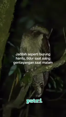 klo sy siang malam gentayangan terus 🙈😁🤭👉☕☝📿🙏🛐#motivasihidup #berkahselalu🤲😇💕 #quatestory #fyp #makrifatullah 