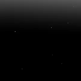 فيديو في حب علي معلول 😍❤️#علي_معلول #foryoupage #fyyyyyyyyyyyyyyyy #fyp #team_fav🏹🦅 