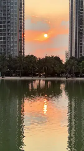 Sáng chiều trốn dưới những tán cây và bờ cát này tránh nắng & tập. (Nhạc tìm video🥰)#vinhomessmartcity #biển #chill #hoanghon #sunset #muathu 