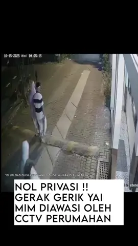 Update Yai Mim Sahara terbaru hari ini !!  semakin tidak nyaman yang dirasakan yai mim ketika akun yang diduga sahara mengupload kegiatan yai mim paska pulang dari masjid, terlihat di cctv yai mim dan ros (istrinya) sedang berjalan pulang dari masjid, hal yang seharusnya privasi tetapi di upload ke media sosial oleh akun yang diduga sahara !! bagaimana tanggapan kalian ?? #yaimim #sahararental #nexura #gearyouraura #kelompokpenerbangroket 