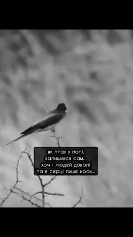 @для тебе #якосьтак #правдажиття #рекомендації 