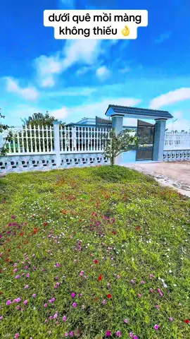 Nhà miền Tây 🥰#69camau #camauquetoi #nhamientay #nhadep #mientay 