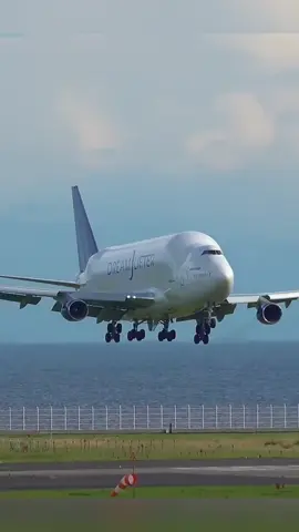 Dreamlifter Landing 🛬                      #aviation#boeing#dreamlifter#crash