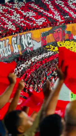 #ليبيا_طرابلس🇱🇾🇱🇾🇱🇾 