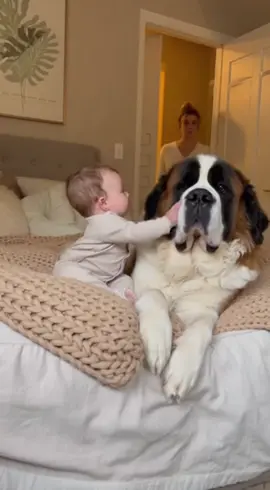 #dog #cutebaby #funnytoddler 