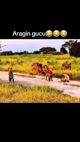 😂😂😂😂😂😂##
