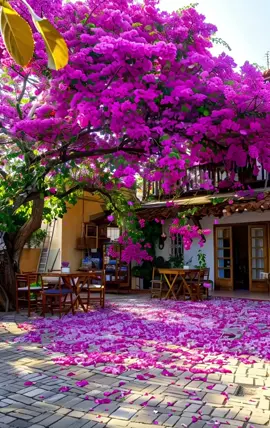 #TikTokAwardsVN #canhdepthiennhien #chill #flowers #beautiful 