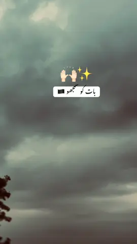 باغی✨🙌🏻 #o_raziii #foryou #lines #پنجاب #punjab 