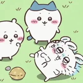 ✌️✌️✌️#momonga #chiikawa #typ 