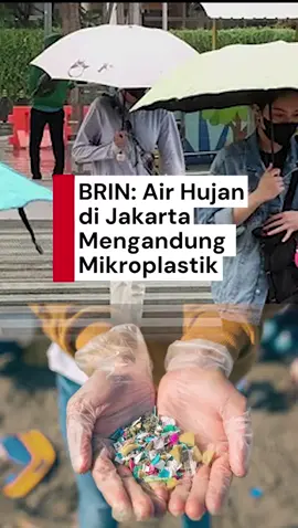 Air hujan terkontaminasi mikroplastik? Emang bisa? Peneliti Badan Riset dan Inovasi Nasional (BRIN) Muhammad Reza Cordova mengungkap bahwa air hujan di Jakarta mengandung partikel mikroplastik berdasarkan hasil penelitian yang dilakukan sejak 2022. Partikel plastik mikroskopis dikatakan terbentuk dari degradasi limbah plastik yang melayang di udara akibat aktivitas manusia perkotaan itu sendiri. Creator: Ulfa Mawaddah