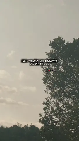 በስተመጨረሻም ❤️🤝🧠#real #a_h_quotes #quotes #amharicquotes 