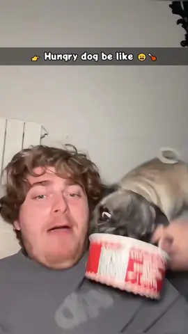 Greedy dog mode ON 😋🐶 #dog #funnydog #dogsofttiktok #foryou #fyp   