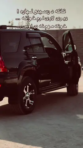 #fyp #foryou #viral #pppppppppppppppp #اکسبلور 