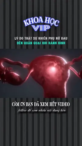 LÝ DO THẬT SỰ KHIẾN PHỤ NỮ ĐAU ĐẾN QUẰN QUẠI KHI HÀNH KINH #TikTokAwardsVN #xh #xhtiktok #khoahocvip  #LearnOnTikTok 