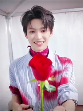 tinggal satu vlog lagii...  gak sabar melihat mu tampil di festival berikut nya, berharap warna rambutnya nnt warna merah, seperti warna bunga mawar mu itu.  #ziyu #tianxuning #foryoupage #fypage #fyp 