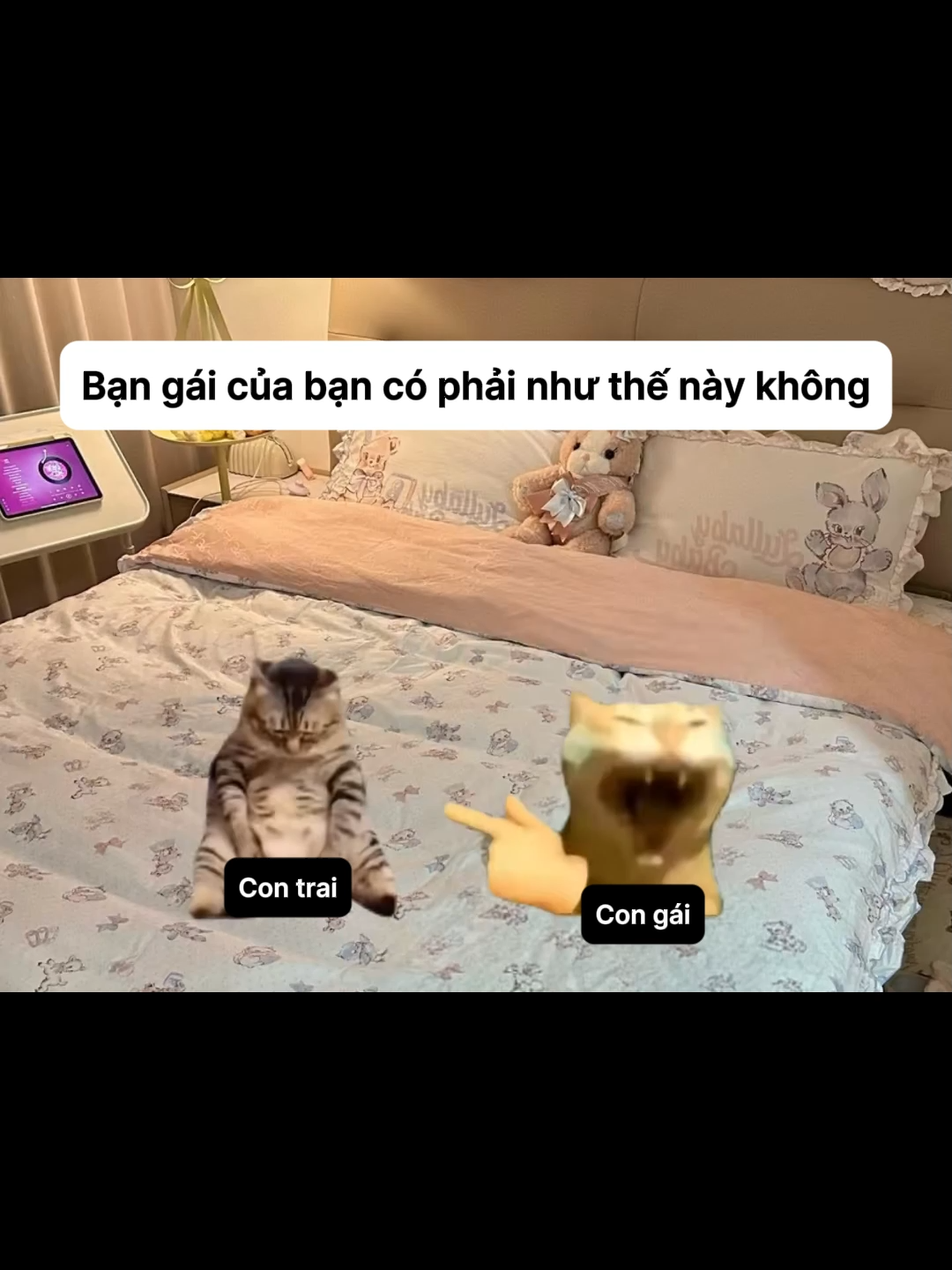 Bạn gái của bạn có phải như thế này không #meme #catmemes #pets #cat