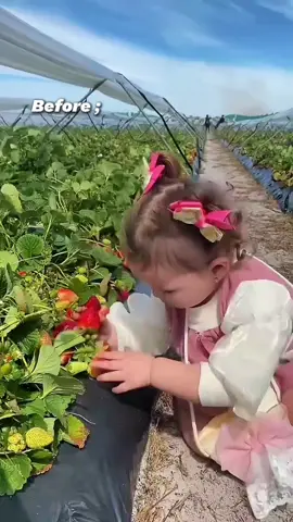 Akibat Kebanyakan makan strawberry 😭🤣🤏 #fyp #briella #baba #lucu #fansbriellakimberly #bayitiktok