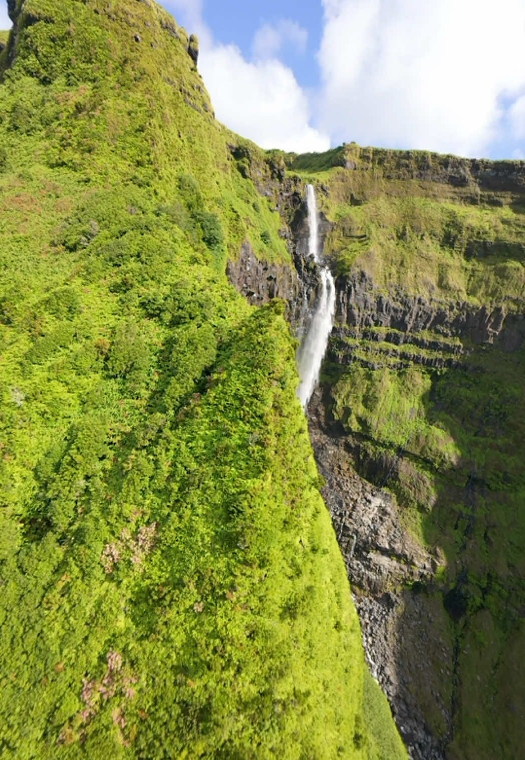 Wait for the rainbow 🌈