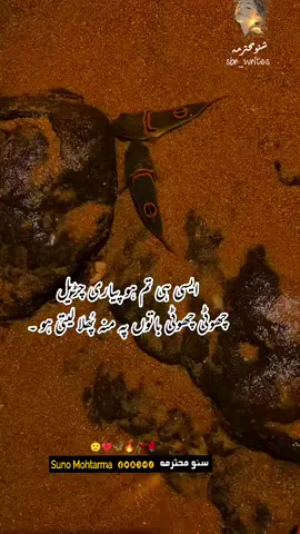 ہر بات پر منہ پھلا لیتی ہو تم پچھلے جنم غبارہ تھی کیا  چڑیل #foryoupageofficial #viral #sbr_writes #sbr_writes #شفیق_بن_رفیق 