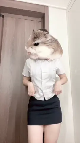 햄찌라기