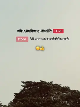 যদি কোন দিন দেখো আমি LOVE story দিছি তাহলে ভাববা আমি পিনিকে আছি। 