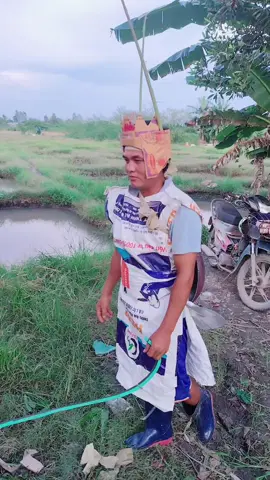 nhìn ông vua tai biến vừa mới hết cười muốn xỉu 🤣🤣🤣#duet @út miền tây @HOÀNG HIEU 67AG @Phương cá ag @kien minh @Gia Đình Nhím 🦔 @Gia Đình Nhím 🦔 