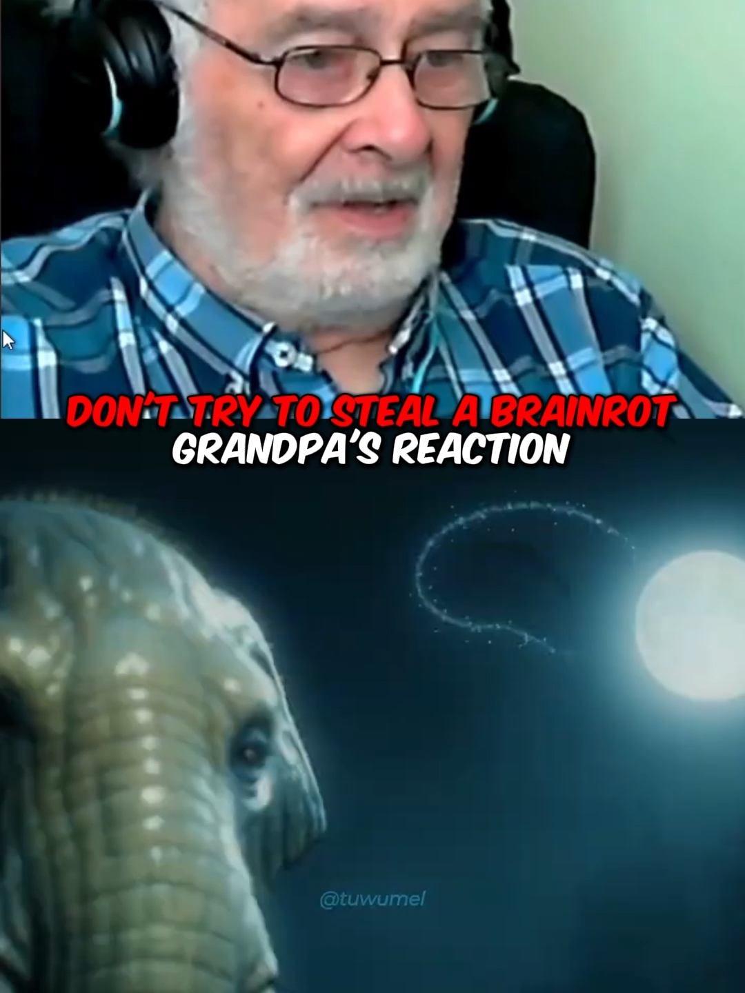 DON'T TRY TO STEAL A BRAINROT Reaction Part 4 #brainrot #tuwumel #brainrotsong #stillabrainrotfyp #donttrytostealabrainrot