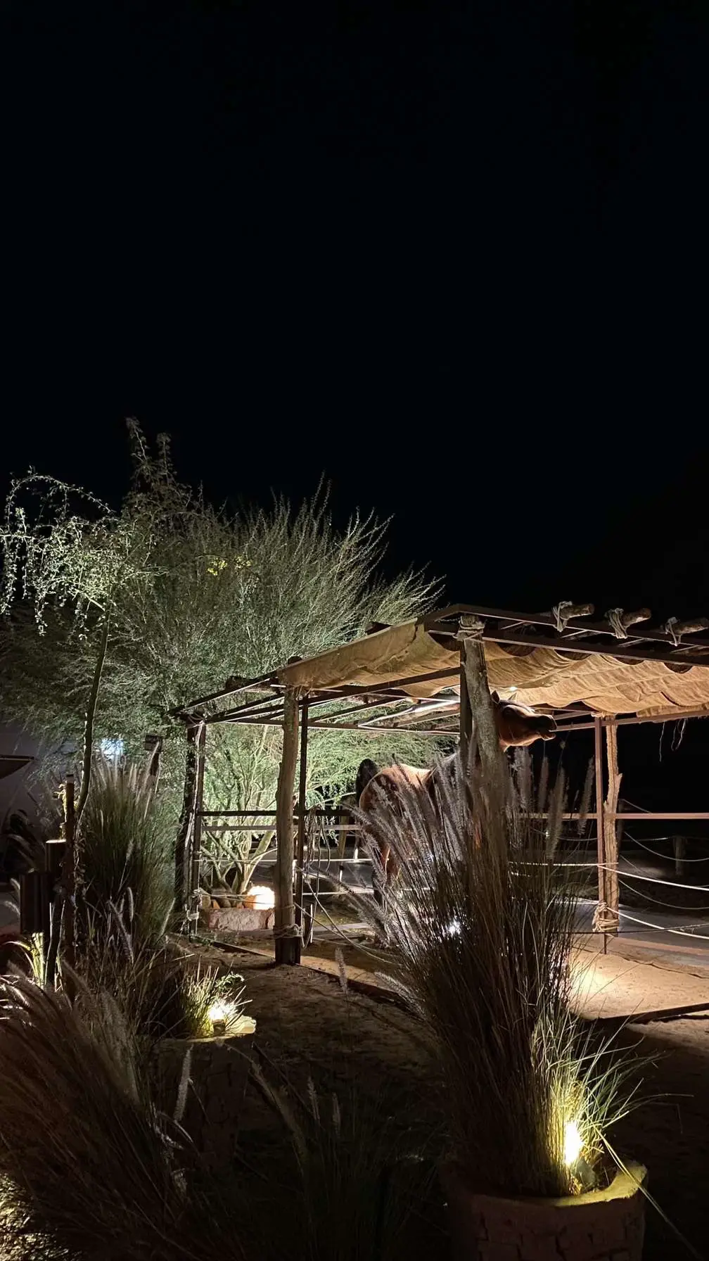 @94 #hail #حائل #الادهم_كافيه #حائلندا  #bestfriend 