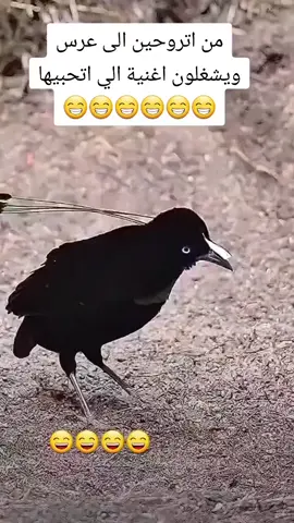 تغير جو 🤣🤣