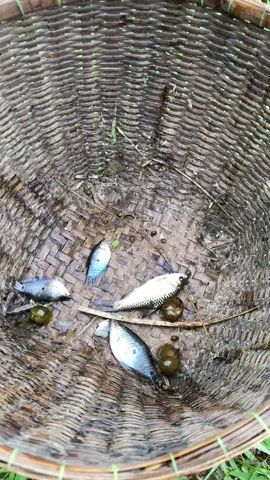 ปล่อยดีก่า