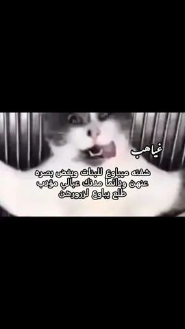 #اكسبلورexplore #dancewithpubgm #الشعب_الصيني_ماله_حل😂😂 #اكسبلورexplore #اكسبلورexplore 