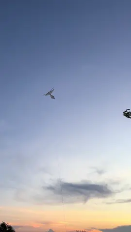 Tes perdana izin pak ketua😀 @Ji kalobur  #layangansawangan #layangantokancak #fyp #klss 