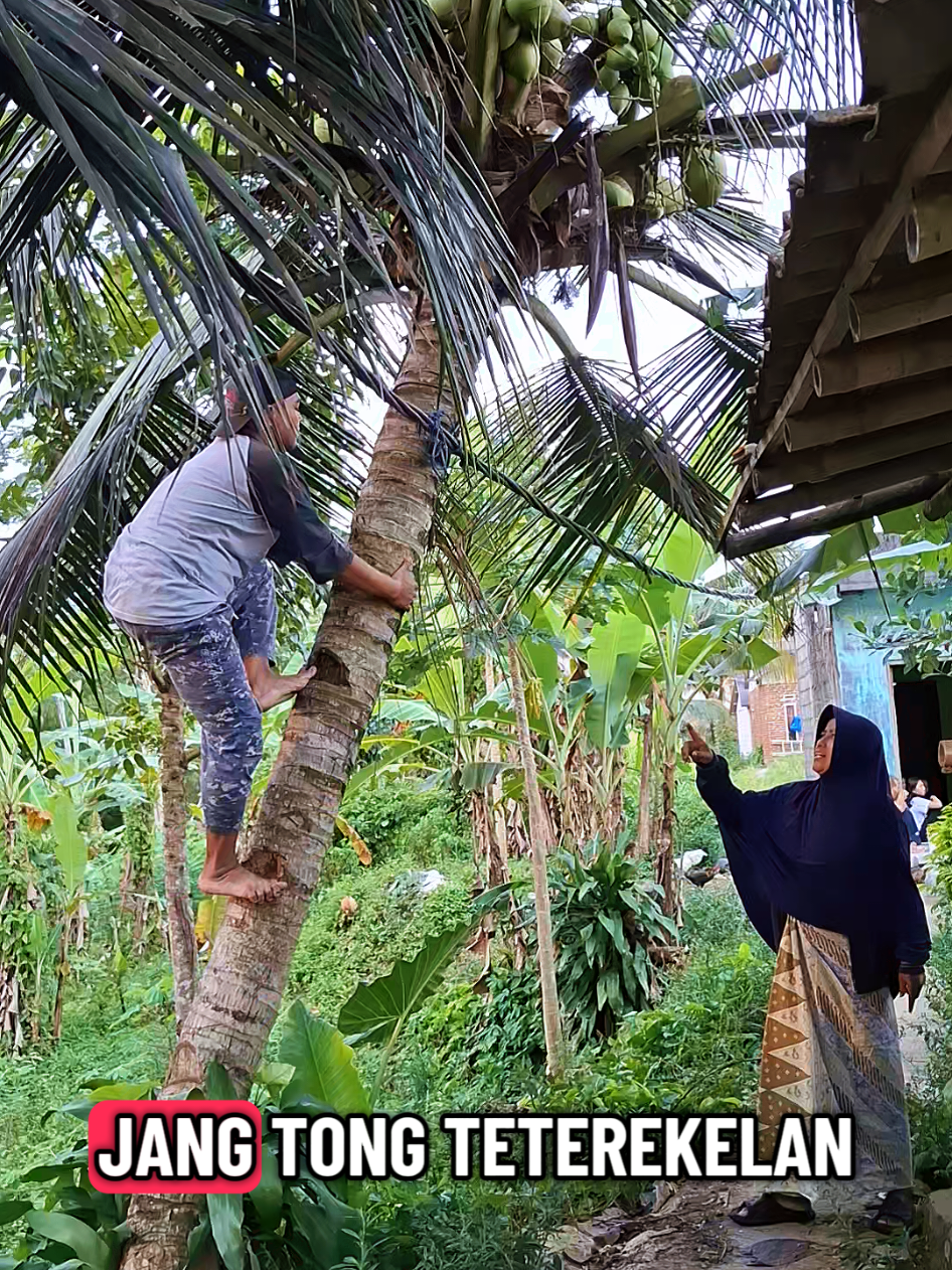 ngabejaan karunya... #fypシ゚ #waidabrothers #tangga 