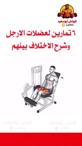 تمارين الارجل ٦ تمارين لعضلة الارجل وشرح الاختلاف بين كل تمرين بشكل مبسط ومفهوم ✅ #كمال_اجسام #رياضة_كمال_اجسام #اكسبلور #gym #workoutmotivation 