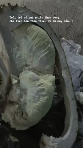 #CapCut  Sầu ko phải riêng😂 Mà là của ta😂#TikTokAwardsVN #xuhuong #xu #gàchoivietnam🇻🇳 