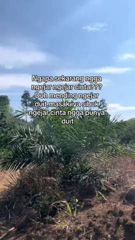 #fyp #berkahsawit #fyppppppppppppppppppppppp #sawit 