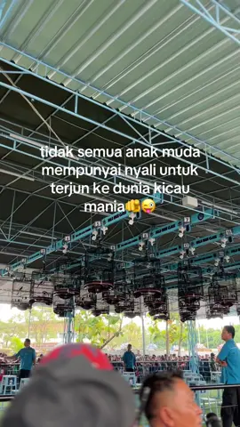 🫣🗣️#kicaumania #cendetjatim #cendet #gantangan #fypage 
