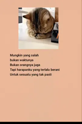 #katakatasedih #katakatabijak #fyp #viral #laguindia 