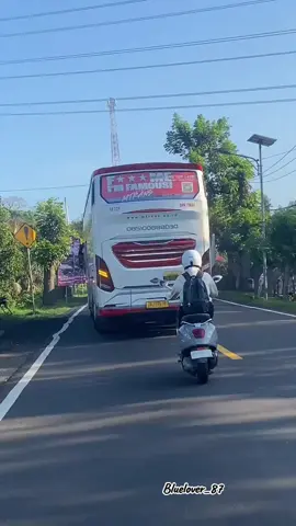 lho yaaaa rodo nakal yg jatah Denpasar#Mtrans #busmania #volvo #fyp #fyppppppppppppppppppppppp 