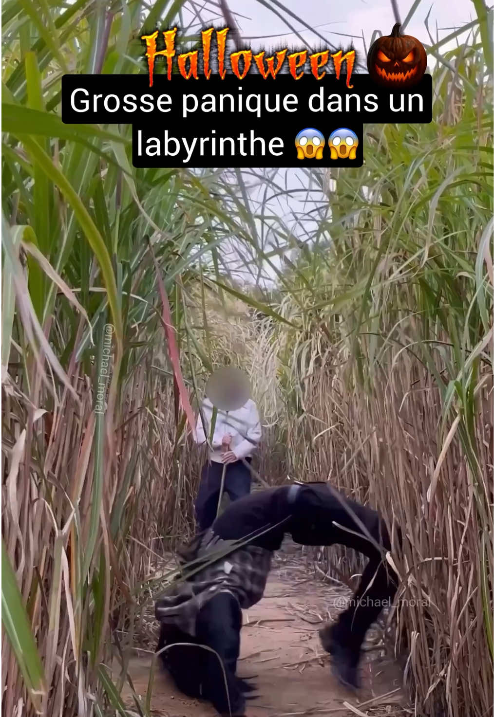 Grosse panique dans un labyrinthe 😱🎃 #thewalkingdead #peur #horreur #cameracachée #prank @The Walking Dead 