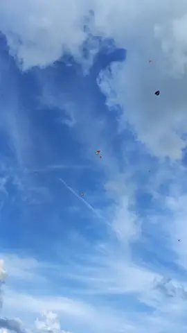 Na Lawan Inan🤣🤣🤣